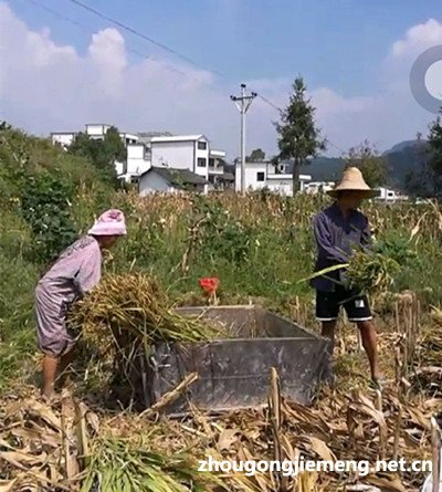 梦见农民(图1)